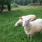 Alojamento de Turismo Rural Kehlbauer Hof bei Salzburg