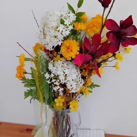 Kehlbauer Alloggio per agriturismo *