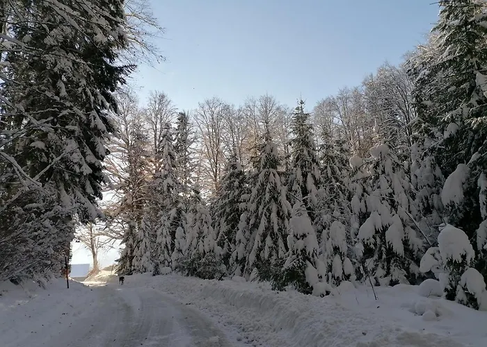 Kehlbauer Alloggio per agriturismo Hof bei Salzburg